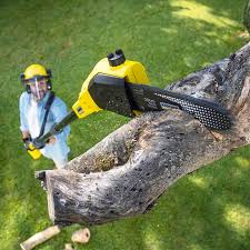 Trusted Point Roberts, WA Tree Removal and Landscaping Services Experts